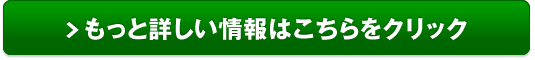 超微粒子パウダー【noi 高濃度ビタミンC】販売サイトへ